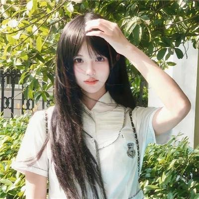 青之芦苇